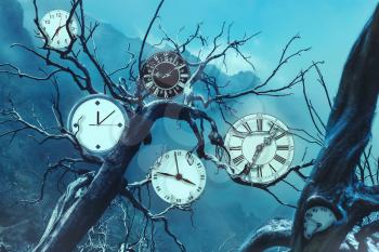 Many clocks on old trees