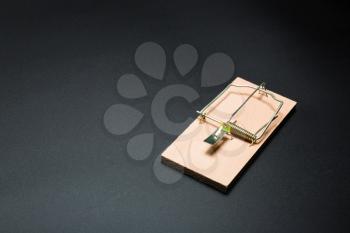A wooden mousetrap on grey