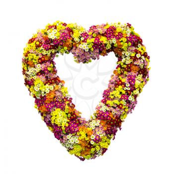 Little flowers in the shape of heart isolated on white