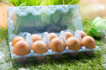 Eggs in plastic container on the grass close up