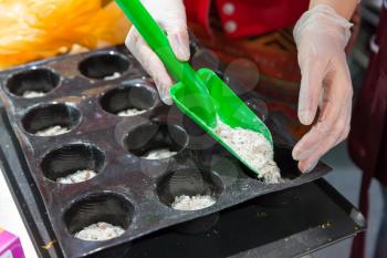 Close up of woman hand putting dough in forms for baking