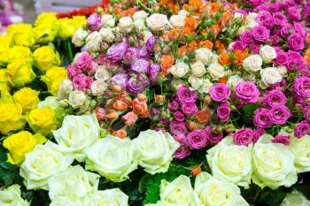 Many various colorful flowers background