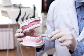 Dentist with artificial jaws explaining teeth problems
