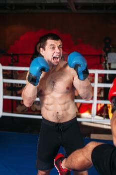 Muscular fighter with an angry face on a ring.  Training gym on the background. Box sport.