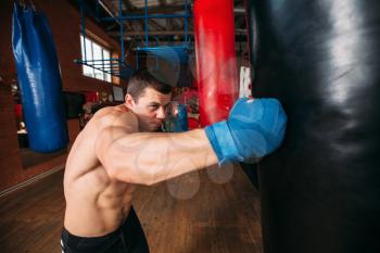 Strength male boxer training with punching bag. Boxing exercise. Sport gym on the background.