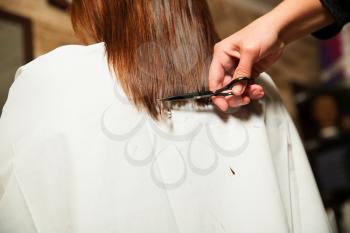 Hairdresser cut long ends to yuong woman. Hairdressing salon.