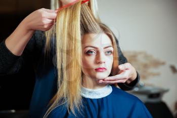 Professional hairdresser making hairstyle with hairbrush in hand to young female in hairdressing salon