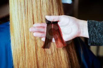 Professional hairdresser choose hair color before dyeing. Hairdressing salon.