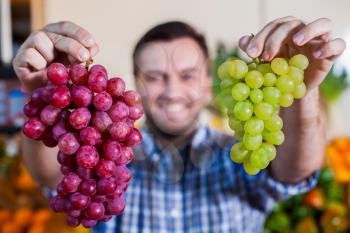 Portrait of smiling man in shirt selling ripe grapes in shop