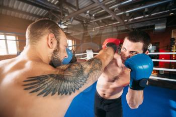 Two boxers strike blows to each other in the head. Fight training. Boxing ring on the background.