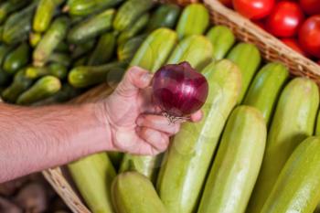 Mans hand shows onion. Boxes with vegetable marrows, cucumbers and tomatoes on the background. 