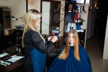 Professional hairdresser making hairstyle with scissors in hand to young female in hairdressing salon.