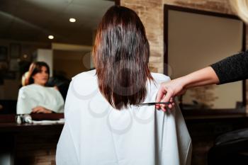 Hairdresser cut long ends to yuong woman. Hairdressing salon.
