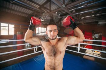 Power boxer in red gloves shows muscles. Sport gym on the background.