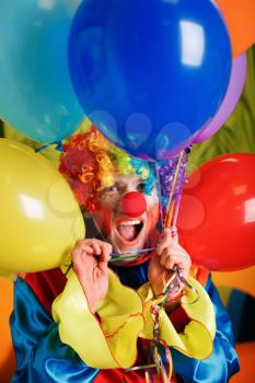 Smiling clown with a bunch of colorful air balloons. Humorous circus concept.