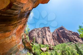 Bottom view on nature narrows at travel routs in Zion National Park, Utah USA