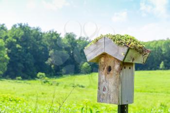 Wooden nesting box on green grass meadow
