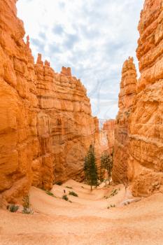 View from viewpoint of Bryce Canyon National Park, Utah USA