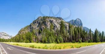 Green meadow and pine trees surrounded by rocky mountains at Yosemite National Park, California USA