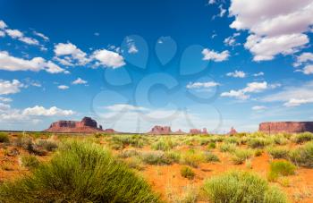 Rare green nature in desert of Monument Valley National Tribal Park, Navajo, Utah USA