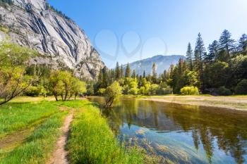 Clear water and evergreen pine forest surrounded by granite mountains in Yosemite National Park, California USA