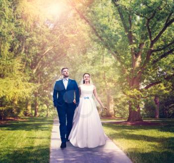 Beautiful newlyweds walking in a green park. Groom and bride photo shoot