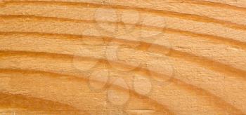Wooden texture of cut tree trunk, close-up. Year rings on wood slice closeup