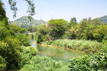 Jungle river and tropical undergrowth on Sri Lanka. Ceylon landscape
