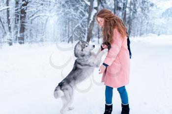 Pretty woman with playful husky dog, snowy forest on background. Cute girl with funs with charming pet