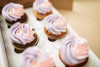 Sweet cakes with biscuit cream on parchment paper sheet closeup view