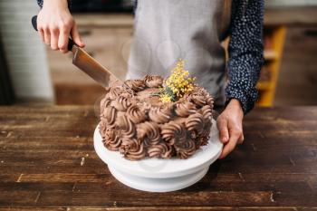 Female hands cutting chocolate cake with a knife, culinary masterpiece. Homemade sweet dessert