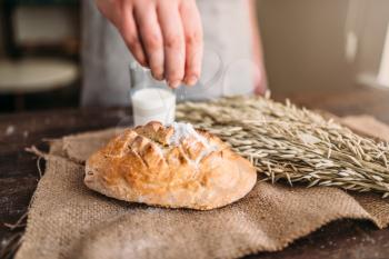 Homemade bakery concept, natural organic food. Baker hands against fresh baked bread bun with crispy crust, wheat bunch and glass of milk on burlap cloth.