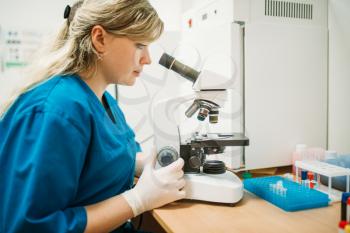 Specialist in uniform looks through a microscope at the samples of animal tests in veterinary clinic. Working with analyzes in vet laboratory 