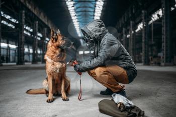 Stalker in gas mask and dog in abandoned building, survivors in danger zone after nuclear war. Post apocalyptic world. Post-apocalypse lifestyle on ruins, doomsday, judgment day 