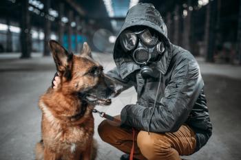Stalker in gas mask and dog in abandoned building, survivors in danger zone after nuclear war. Post apocalyptic world. Post-apocalypse lifestyle on ruins, doomsday, judgment day