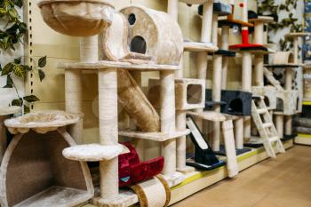 Inside zooshop, shelves with accessories for cats, pet shopt, nobody. Petshop variety, no people