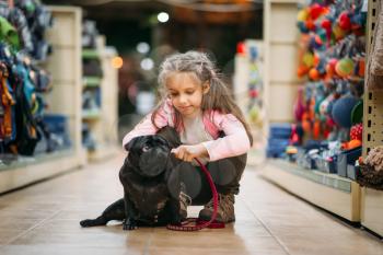 Little girl chooses house for puppy in pet shop. Kid plays in petshop, goods for domestic animals
