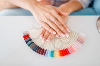 Female customer hands and colorful nail varnish palette in beauty shop. Professional manicure and pedicure service, hands and legs treatment, client in beautician salon, woman at the manicurist
