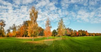 Autumn park, trees with colorful foliage. Yellow forest, nature landscape in sunny day