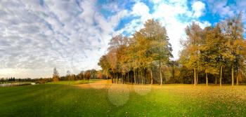 Yellow leaf fall on green grass in autumn park, panorama. Trees with yellow foliage, nobody. Bright nature landscape in sunny day