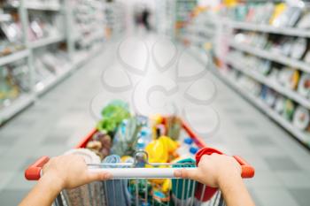 Female person hands drags the cart full of goods in a supermarket, shopping. Customer in shop, buyer in market, shopping concept