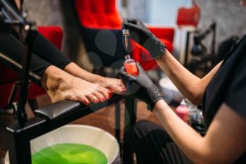 Pedicurist in black gloves doing cosmetic procedure with pedicure bath, female client in beauty salon. Professional fingernail care