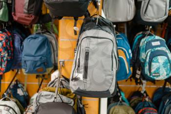 Showcase with backpacks in sports shop, nobody. Summer active leisure, showcase with bags, professional travelling equipment