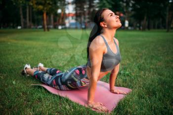 Athletic girl exercise on yoga or fitness mat in summer park. Woman on morning fit workout