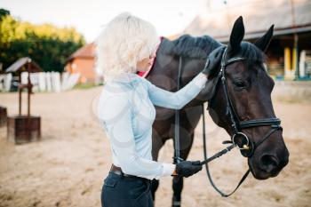 Female jockey and horse, horseback riding. Equestrian sport, young woman and beautiful stallion, farm animal