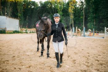 Equestrian sport, female jockey and horse. Brown stallion, horseback riding, leisure with animal