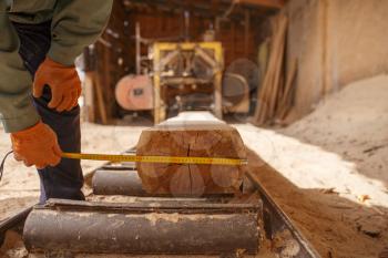 Woodworker with measuring tape measures the log on woodworking machine, lumber industry, carpentry. Wood processing on factory, forest sawing in lumberyard, sawmill