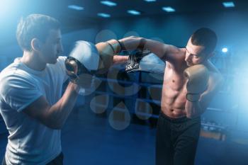 Boxer in gloves exercises with personal trainer. Boxing workout, mens sport