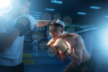 Boxer in gloves exercises with sparring partner. Boxing workout, mens sport