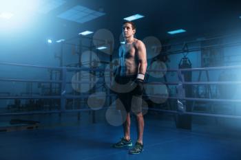 Muscular boxer in black gloves on the ring. Boxing workout, mens sport